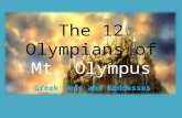 The 12 Olympians of  Mt. Olympus