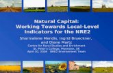 Natural Capital:  Working Towards Local-Level Indicators for the NRE2