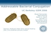 Addressable Bacterial Conjugation