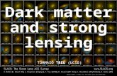 Dark matter and strong lensing