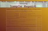 MSDS Report:  Student Count by Primary Ed Setting  Sample Report