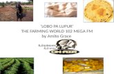 ‘LOBO PA LUPUR’ THE FARMING WORLD 102 MEGA FM by  Amito  Grace