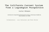 The California Current System  from a Lagrangian Perspective Carter Ohlmann