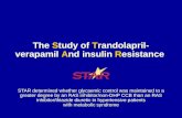 The  S tudy of  T randolapril-verapamil  A nd insulin  R esistance