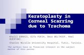 Penetrating Keratoplasty in Corneal Scarring due to Trachoma