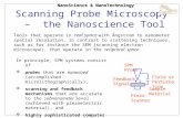 Scanning Probe Microscopy  –  the Nanoscience Tool