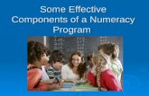Some Effective Components of a Numeracy Program
