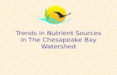 Trends in Nutrient Sources in The Chesapeake Bay Watershed