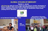 GLOBAL CYCLING OF MERCURY