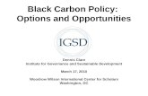 Black Carbon Policy:  Options and Opportunities