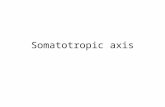 Somatotropic axis