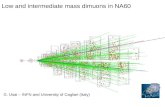 Low and intermediate mass dimuons in NA60