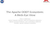 The Apache OODT Ecosystem:  A Birds Eye View