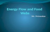Energy Flow and Food  Webs