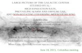 LARGE PICTURE OF THE GALACTIC CENTER  STUDIED BY H 3 + :  HIGH IONIZATION RATE,