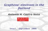 Graphene: electrons in the flatland Antonio H. Castro Neto