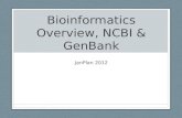 Bioinformatics Overview, NCBI &  GenBank