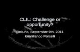 CLIL: Challenge or  opportunity ?