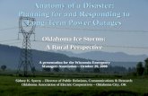 Anatomy of a Disaster: Planning for and Responding to Long-Term Power Outages