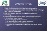 AMD vs. INTEL