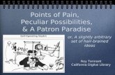 Points of Pain,  Peculiar Possibilities,  & A Patron Paradise