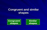 Congruent and similar shapes