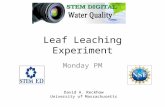 Leaf Leaching Experiment