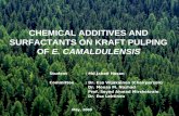 CHEMICAL ADDITIVES AND SURFACTANTS ON KRAFT PULPING OF  E. CAMALDULENSIS
