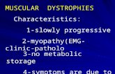 MUSCULAR  DYSTROPHIES   Characteristics:      1-slowly progressive