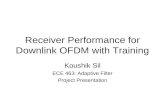 Receiver Performance for Downlink OFDM with Training