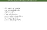 Gibberellins: Regulators of Plant Height and Seed Germination