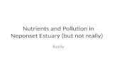 Nutrients and Pollution in Neponset Estuary (but not really)