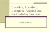 Location, Location, Location:  Arizona and the Gadsden Purchase