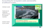 Accounting for ecosystem costs and benefits  at different scales…