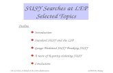 SUSY Searches at LEP Selected Topics