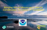 Bringing Virtual Microscopy to Marine Conservation: An Ocean of  Possibilities