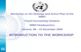Workshop on the Strategy and Action Plan of the WMO Flood Forecasting Initiative WMO Headquarters