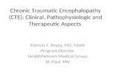 Chronic Traumatic Encephalopathy (CTE): Clinical,  Pathophysiologic  and Therapeutic Aspects