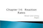 Chapter 14:  Reaction Rates