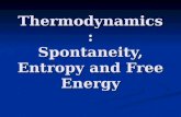 Thermodynamics: Spontaneity, Entropy and Free Energy
