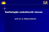 Radiologija maksilarnih sinusa prof. dr. sc. Stipan Janković