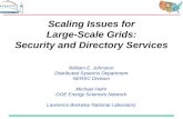 Scaling Issues for Large-Scale Grids: Security and Directory Services