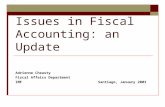 Issues in Fiscal Accounting: an Update