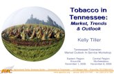 Tobacco in Tennessee: Market, Trends & Outlook