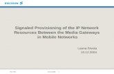 Signaled Provisioning of the IP Network  Resources Between the Media Gateways  in Mobile Networks