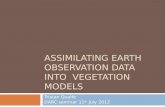 Assimilating Earth Observation Data into  VEGETATION MODELS