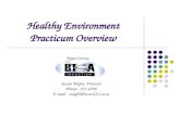 Healthy Environment Practicum Overview