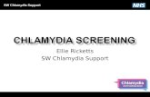 Chlamydia Screening
