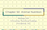 Chapter 50  Animal Nutrition