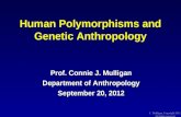 Human Polymorphisms and Genetic Anthropology